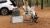 Портативная электростанция E2400LFP 2400W Портативная электростанция E2400LFP 2400W в Торезе