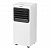 Мобильный кондиционер AC ELECTRIC ACE-07 TR/N6 Diona в Торезе