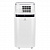 Мобильный кондиционер Electrolux EACM-22 JK/N3 Ice Column в Торезе